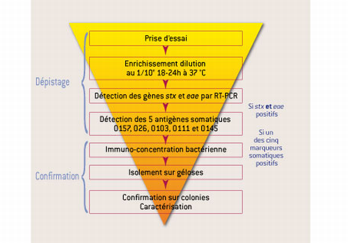 500 qualite 2