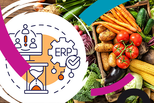 Centraliser, fiabiliser, piloter : le RETEX de Vegetal Solutions