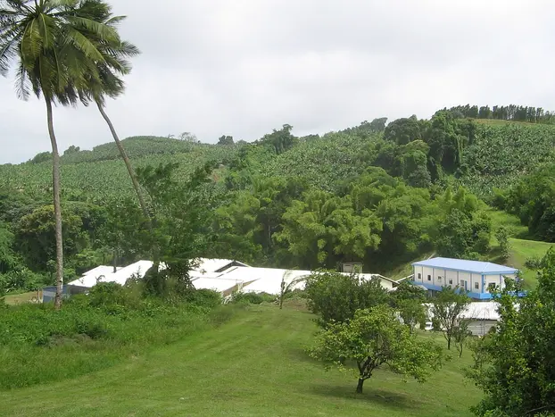 Denel, Gros-Morne (Martinique), transformation de fruits tropicaux