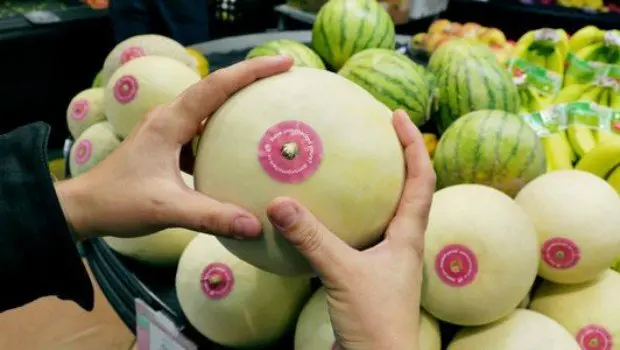 melon