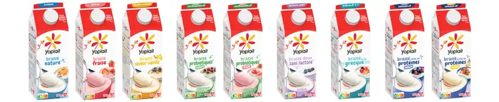 Yoplait_brique1.jpg