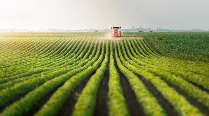 Tractor spraying pesticides at  soy bean fields - Tractor spraying pesticides at  soy bean field