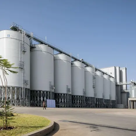 Soufflet Malt enclenche une stratégie ambitieuse à l’horizon 2030.