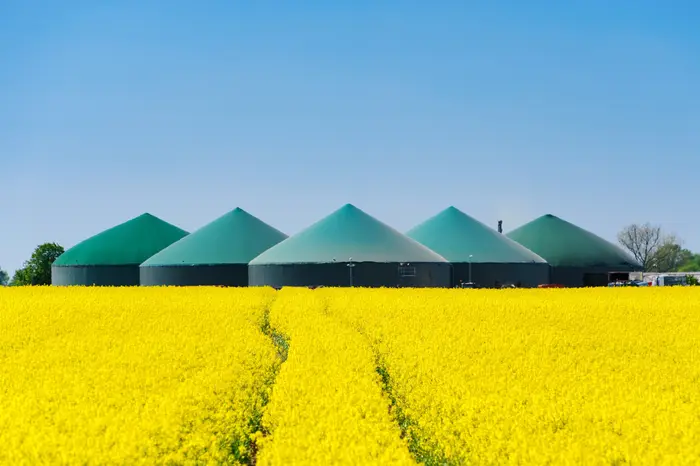 La ressource agricole sera sollicitée pour répondre à la demande en biocarburants.