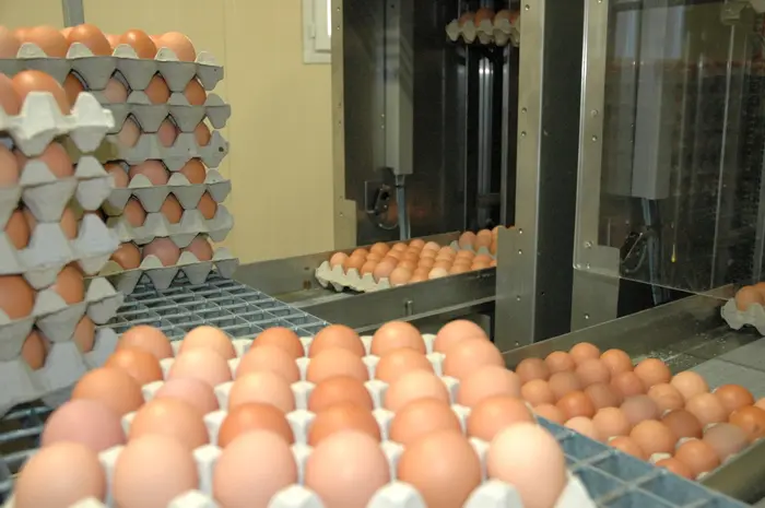 La filière a besoin d'investissements pour répondre à la hausse de consommation.