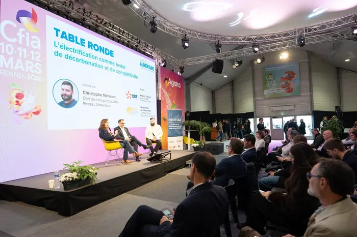 La table ronde avait pour thématique l'électrification des usages comme levier de compétitivité.