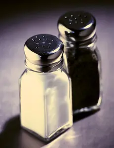 Lacto Salt