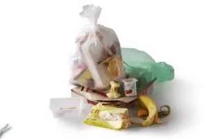 Déchets