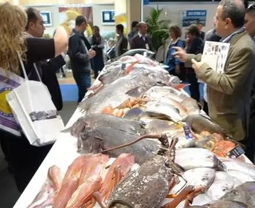 seafood