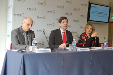 anses2013