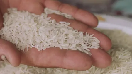 Riz_basmati_Uncle_Bens_100_SRP