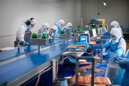 MerAlliance - credit Forbes Conrad