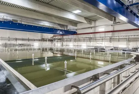 Dairy Ammerland brine bath_565736_web