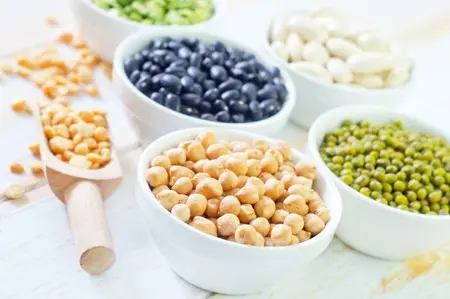 protein award
