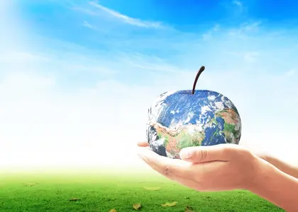 food sustainability