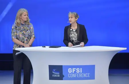 gfsi2