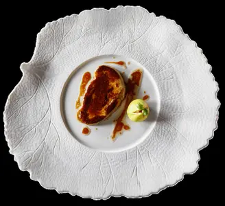 Foie gras gourmey