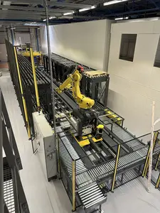 Avec ce système de palettisation multi-niveau centralisée, Promalyon a réussi à maintenir la même cadence sur 30 % d'espace en moins pour une ent