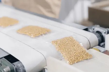 Production vacuum packed cedar nuts on automatic conveyor belt for transporting. Concept food industry plant. - Production vacuum packed cedar nuts on