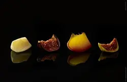 VegetalSolutions