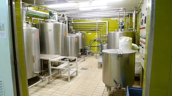 Salle d'élevage des ferments