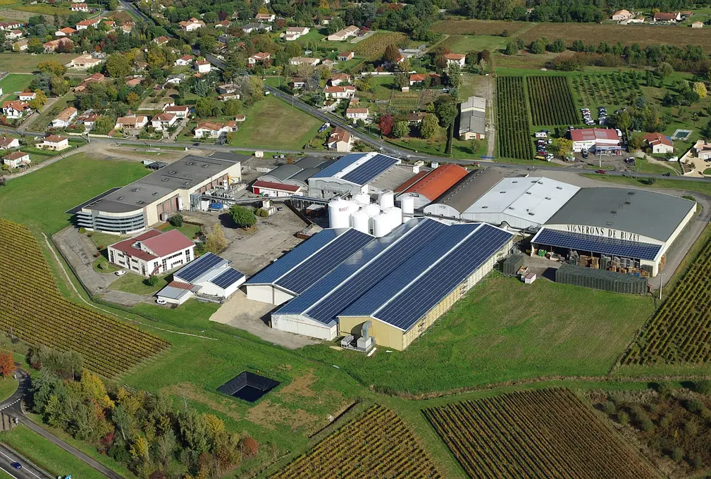 Vignerons de Buzet, Buzet sur Baïse (47), viti-vinicole
