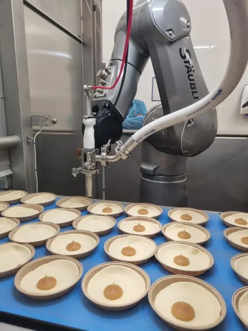  Conception de machines personnalisées : La société développe des solutions sur mesure qui combinent des expertises mécanique, automatisme et ro